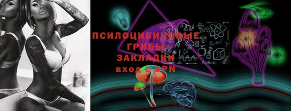 СК Дмитриев