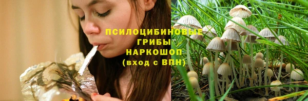 СК Дмитриев