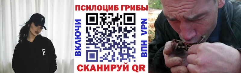 купить наркоту  Омутнинск  Галлюциногенные грибы мухоморы 